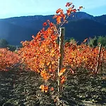 Moulin De Perle Fosse (Pyrenees-Orientales)