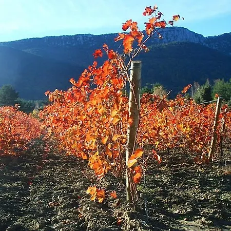 Moulin De Perle Fosse (Pyrenees-Orientales)